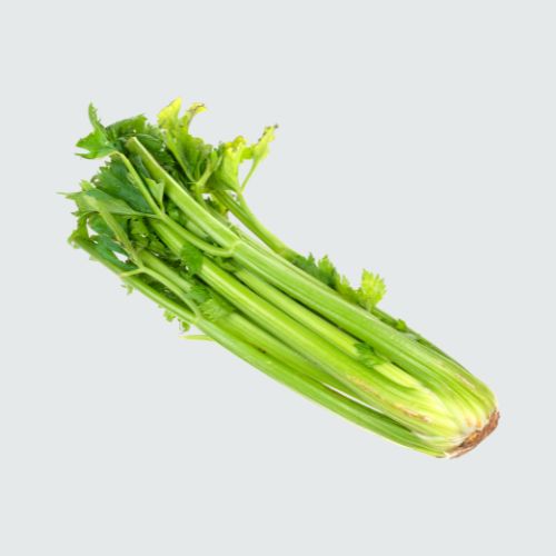 Celery – Green Sizz