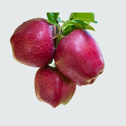 Kashmir Gala Apple – Green Sizz