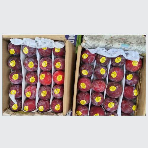 Kashmir Plum