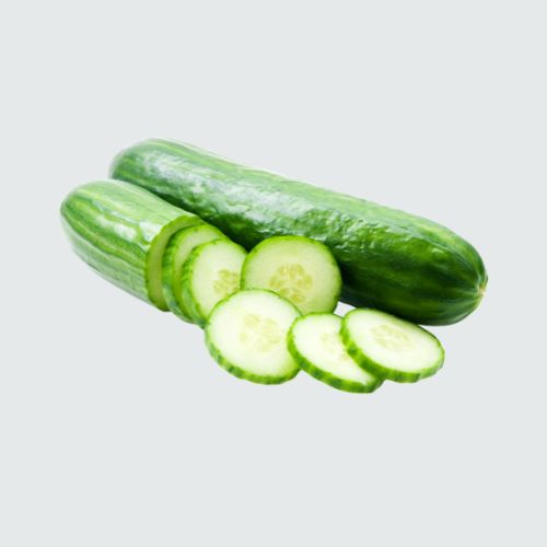Cucumber Seedless Premium