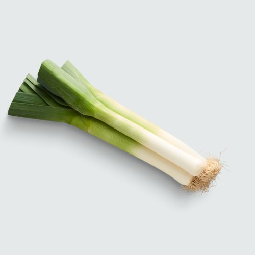 Leek