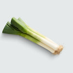 Leek