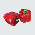 Red Bell Pepper