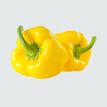 Yellow Bell Pepper